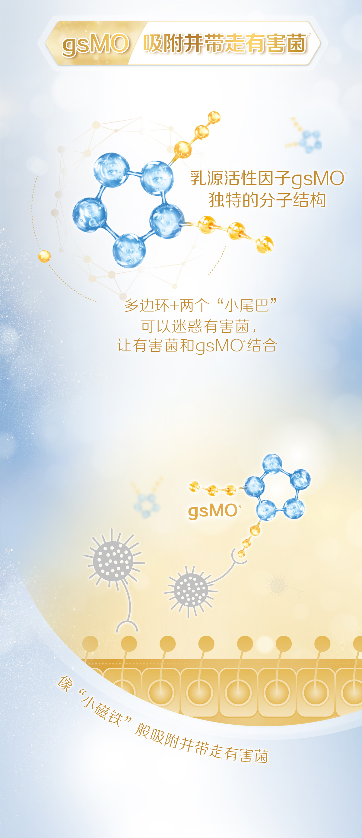 金选
