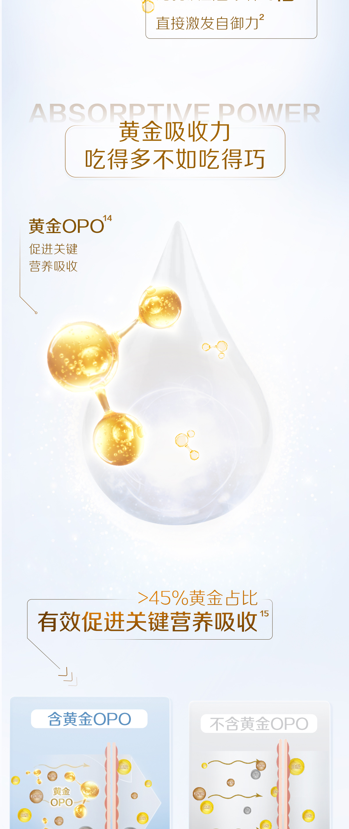 stage4-spp-20231101_05.jpg